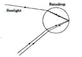 On a sunny day, Krish looked at the sky through a water fountain and was surprised to see a rainbow in the sky.      In the formation of a rainbow, the role of water droplets present in the water fountain is to act as a :