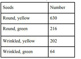 After self-pollination in pea plants with round, yellow seeds, following types of seeds were obtained by Mendel:      Analyse the result and describe the mechanism of inheritance which explains these results.