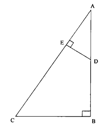 In the figure given above angle ABC= angle AED = 90^(@)   Consider the following statements :   1. ABC and ADE are similar triangles.   2. The four points B, C,E and D may lie on a circle.   Which of the above statements