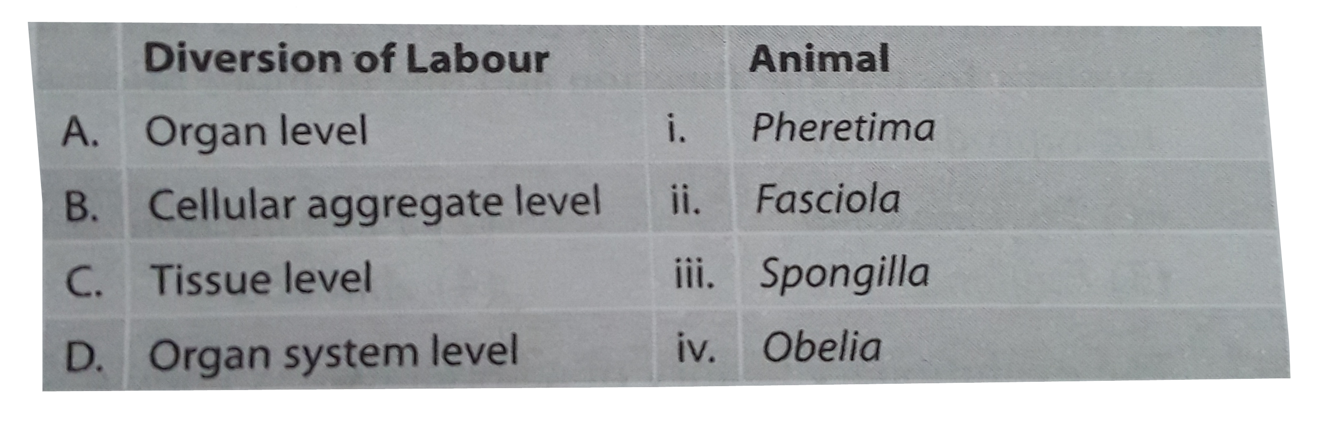 Match the following list of animals with their level of organisation :      Choose the correct match showing division of labour  with animals.