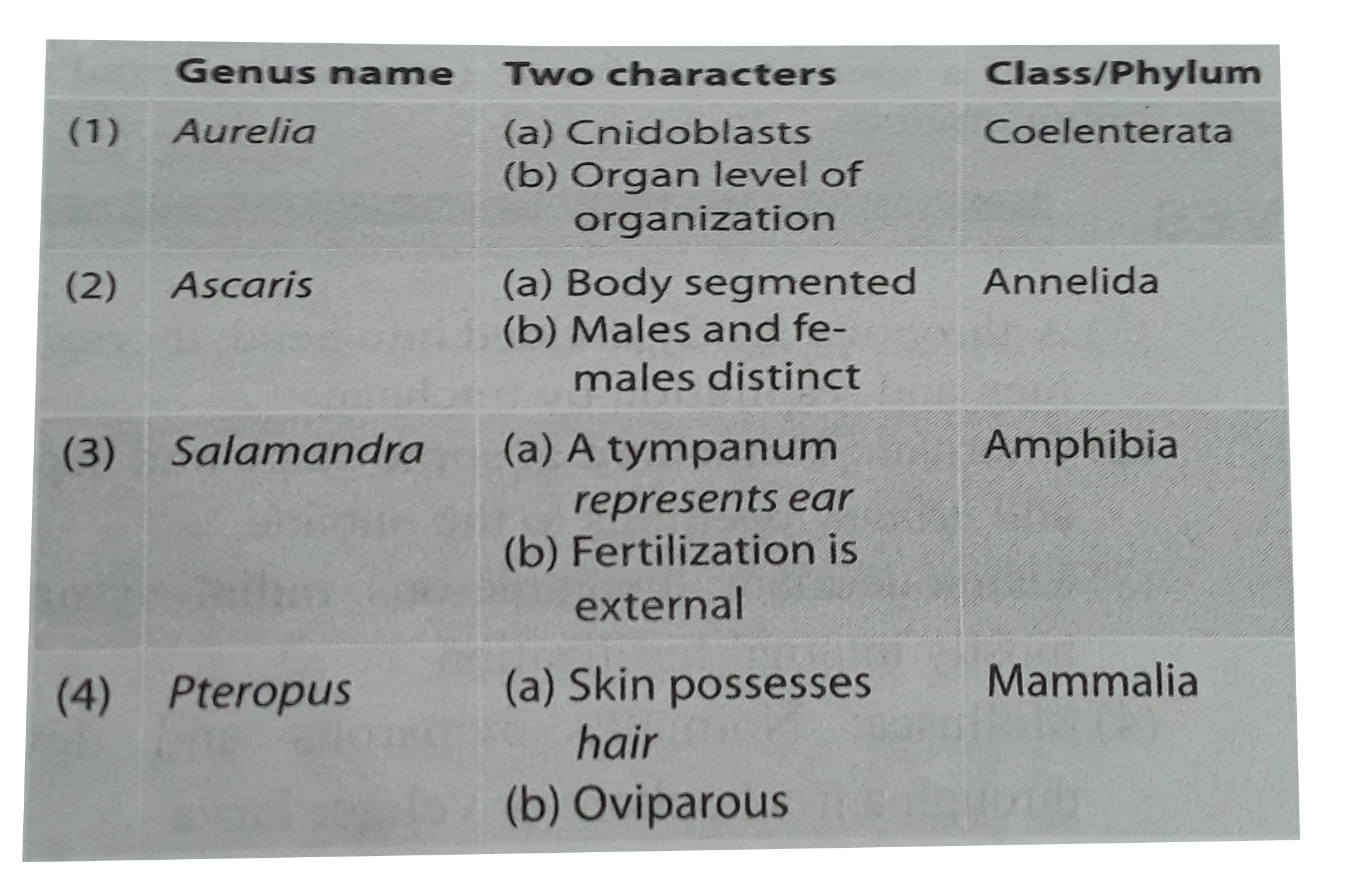 In which one of the following the geneus name , its two characters and its class / phylum are correctly matched ?