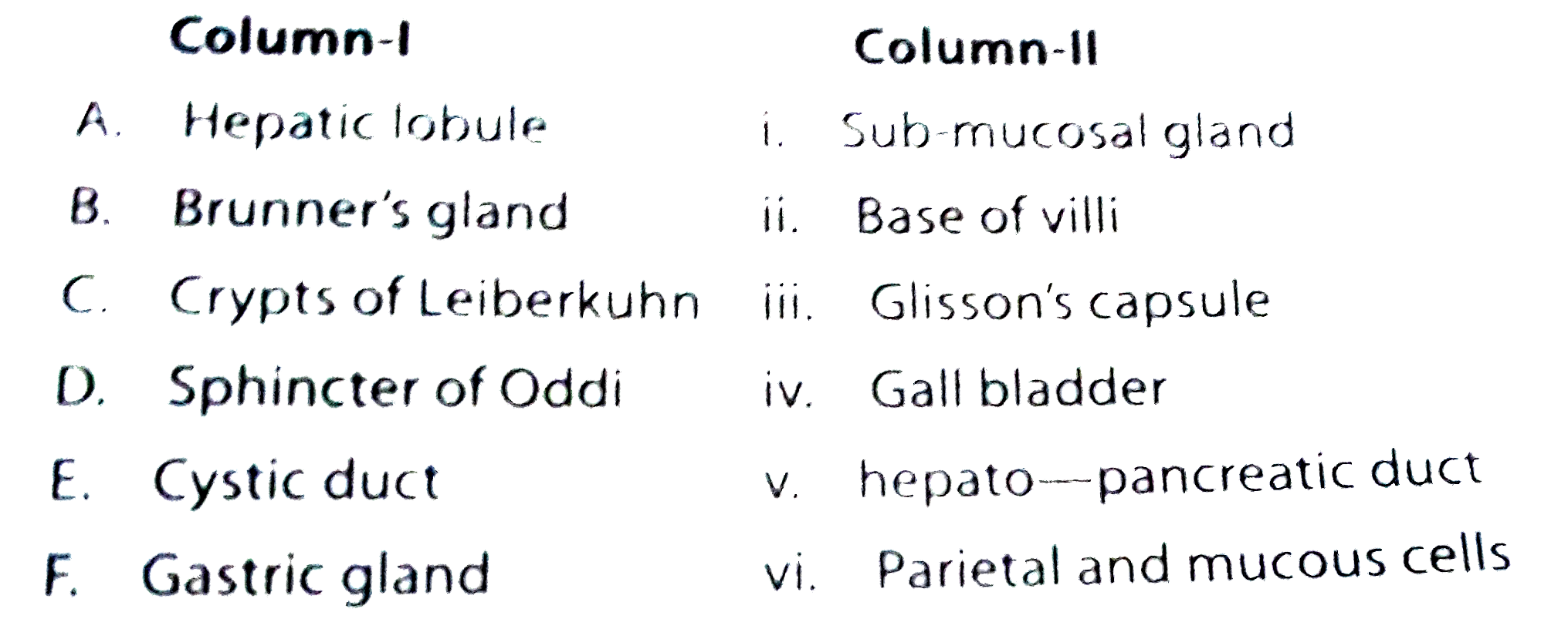 Match the entities of column I with column II and select the right answer from the codes given below