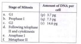 The amount of DNA per cell of a particular species is measured in cells found at various stages of meiosis, and the following amounts are obtained. Match the amounts of DNA on the left with the corresponding stages of the cell cycle on the right. You may use more than one stage for each amount of DNA