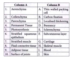 Match the Column A with Column B .