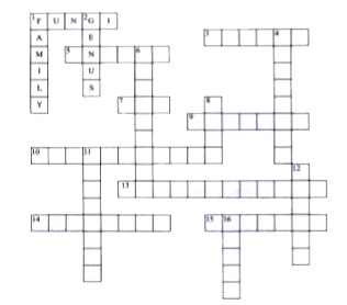 Complete the crossword puzzle using the clues given below:   Across    1. Mushrooms come under    3. Increase in the cell number and mass.    5. Kingdom containing humans.    7. Used for identification.    9. Groups of organisms that are least similar.    10. Warmth of an organism is its body    13. Making of offsprings.    14. The other name for phylum used in plant classification.    15. Groups of organisms that are most alike.  Down    1. Kingdom, phylum, class, order    2. Homo is the name for humans.    4. The system of classification using structural characteristics.    6. Another name for a leg in lower arthropods.    8. Numbers of kingdoms according to Whittaker.    11. Kingdom containing more complex micro organisms.    12. Kingdom containing simplest micro organisms.    16. Kingdom containing organisms that  photosynthesise.