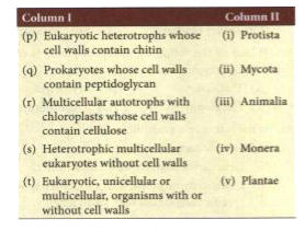 Match the descriptions of organisms (column I) with their kingdoms (column II)