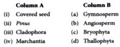 Match the correct pair from column A and column B.