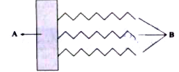 Label the following components in a molecule of triglyceride: