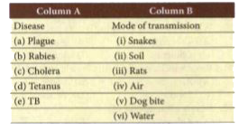 Match the following :