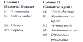 Match column I and column II and choose the correct combinations :