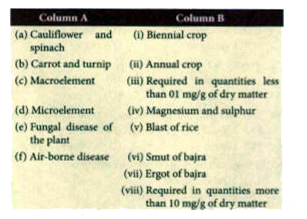 Match the following with one or more than one correct answer: