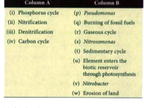 Match the following with one or more than one correct answer: