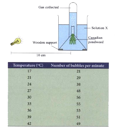 Diagram below depicts an experiment to find the effect of temperature on the rate of photosynthesis. The average number of bubbles per minute at each temperature is given in the table.         Plot a graph to show the relation between the rate of photosynthesis and temperature.