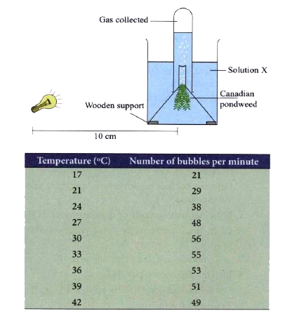 Diagram below depicts an experiment to find the effect of temperature on the rate of photosynthesis. The average number of bubbles per minute at each temperature is given in the table.         Describe and explain the change in rate of photosynthesis as the temperature is changed    (i) from 17^@C to 30^@C.     (ii) from 33^@C to 40^@C.