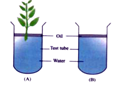 The figure given below represents the set up at the start of certain experiment to demonstrate an activity of plants:      What is the aim of the experiment?