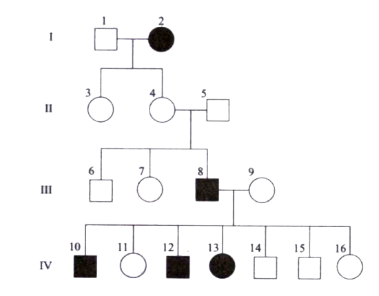 Use the pedigree to answer the questions below:      A circle represents a female. If it is darkened, she has haemophilia, if clear she is normal.   (i) How many females are there?   (ii) How many females have haemophilia?