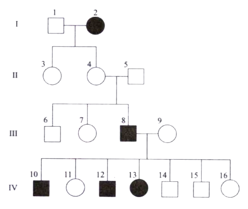 Use the pedigree to answer the questions below:      A marriage is indicated by a horizontal line connecting a circle to a square. How many marriages are there?