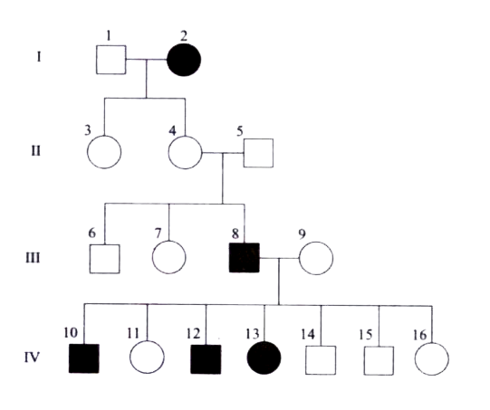 Use the pedigree to answer the questions below:      Females who do not show the trait for haemophilia may be homozygous dominant (X^(N)X^(N)) or heterozygous (X^(N)X^(n)). The heterozygous female is called a carrier. If any child has haemophilia, then the female (mother) must be heterozygous.   (i) What would be the genotype for the female who marries into the family in generation III?