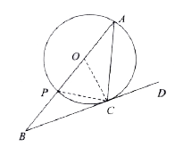 In the figure , O is the centre of the circle and BCD is tangent to it at C . Find the value of  angle BAC + angle ACD