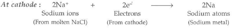 ocr_image