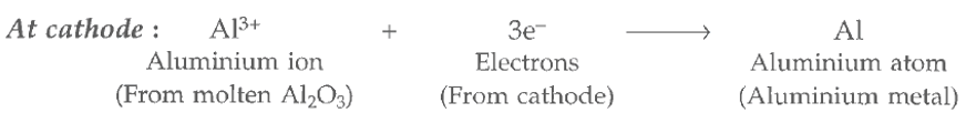 ocr_image