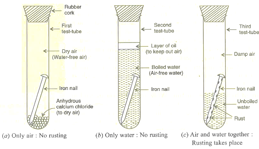 ocr_image