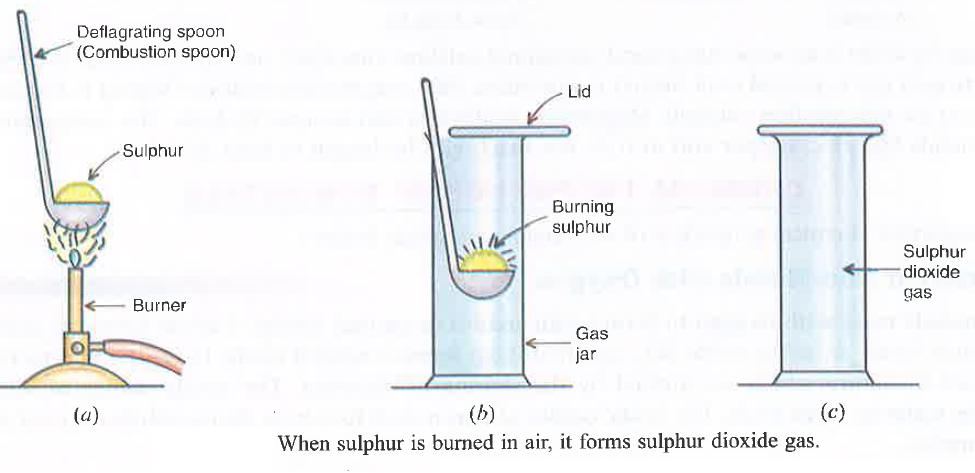 ocr_image