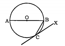 O is the centre of the circle. A  tangent is drawn which touches the circle of C. If angle AOC =80^@,then what is the value (in
degrees) of angle BCX?  
O वृत्त का केन्द्र है। एक स्पर्श रेखा बनाई गई है जो वृत्त को C पर स्पर्श करती है। यदि angle AOC =80^@है, तो angle BCX का मान (डिग्री में) क्या होगा?