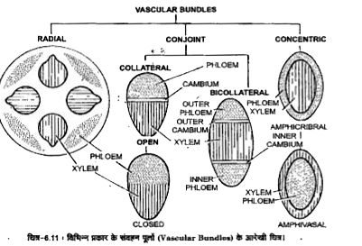 ocr_image