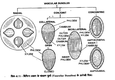 ocr_image