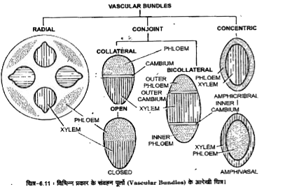 ocr_image