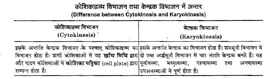 ocr_image