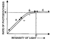 प्रकाश संश्लेषण की दर पर प्रकाश का प्रभाव पड़ता है।.ग्राफ के आधार पर निम्नलिखित प्रश्नों के उत्तर दीजिए-      वक्र के किस बिन्दु अथवा बिन्दुओं पर (A, Bअथवा C) प्रकाश एक नियामक कारक है?