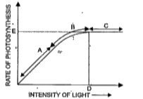 प्रकाश संश्लेषण की दर पर प्रकाश का प्रभाव पड़ता है।.ग्राफ के आधार पर निम्नलिखित प्रश्नों के उत्तर दीजिए-      (स) वक्र में 'C' और 'D' क्या निरूपित करता है?