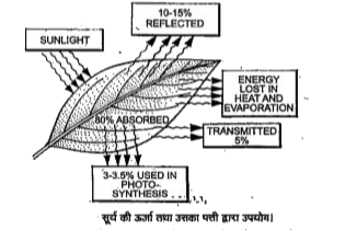 ocr_image