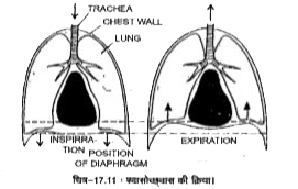 ocr_image