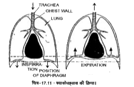 ocr_image