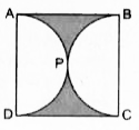 दी गई आकृति में, छायांकित भाग का क्षेत्रफल ज्ञात कीजिए, यदि ABCD भुजा 14 सेमी का एक वर्ग है तथा APD और BPC दो अर्द्धवृत्त हैं।