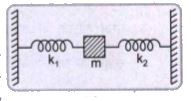 0.1 किग्रा द्रव्यमान का एक पिण्ड दो दृढ़ आलम्बों के बीच 8 न्यूटन/मीटर तथा 2 न्यूटन/मीटर बल-नियतांकों वाली दो स्प्रिंगों की सहायता से टिका हुआ है। यदि इस पिण्ड को स्प्रिंगों की 3 लम्बाई की दिशा में विस्थापित कर दिया जाए तो उसके कम्पन की आवृत्ति की गणना कीजिए।
