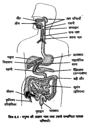 ocr_image