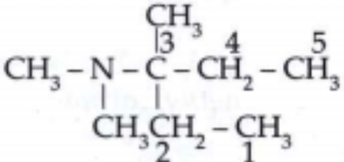 Give the IUPAC names of the following amines