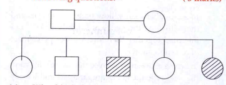 The following pedigree shows a particular trait which is absent in the parents but found in the subsequent generation irrespective of the sex. Analysis the pedigree chart and answer the following questions: What kind of disorder does the pedigree show? Justify your answer.