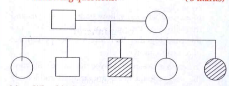 The following pedigree shows a particular trait which is absent in the paents but found in the subsequent generation irrespective of the sex. Analyes the pedigree chart and answer the following questions: Give an example of this types of disorder