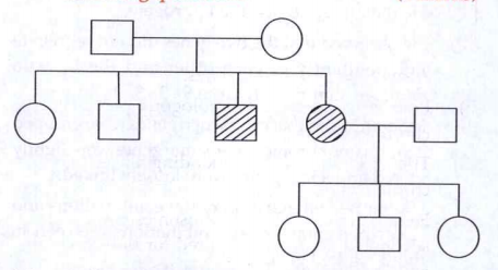 Study the given pedigree chart and answer the follwing question: Is the trait dominant or recessive