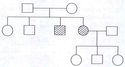 Study the given pedigree chart and answer the following question: Give the genotypes of Parents in generation I that is 3rd and 4th child in generation I