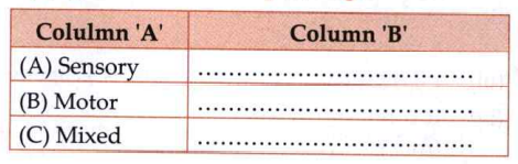 Classify the following cranial nerves given below as per column 'A' and complete column 'B' select from the given options.   (1) Optic (2) Abducens (3) Trigeminal (4) Hypoglossal (5) Auditory (6) Vagus