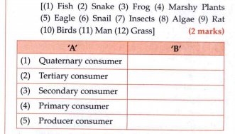 Classify the following organisms given below as per column 'A' and complete column 'B'.