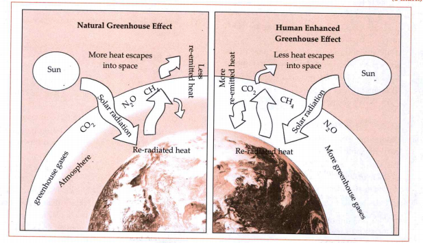 Give the mechanism of greenhouse effect.