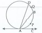 Seg AB and seg AD are the chords of the circle. C is a point on tangent of the circle at point A. If m(arc APB)=80^@ and /BAD=30^@. Then find m/BAC