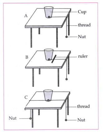 Studt the activity and answer the following questions: What is the type of work done in figures A, B and C